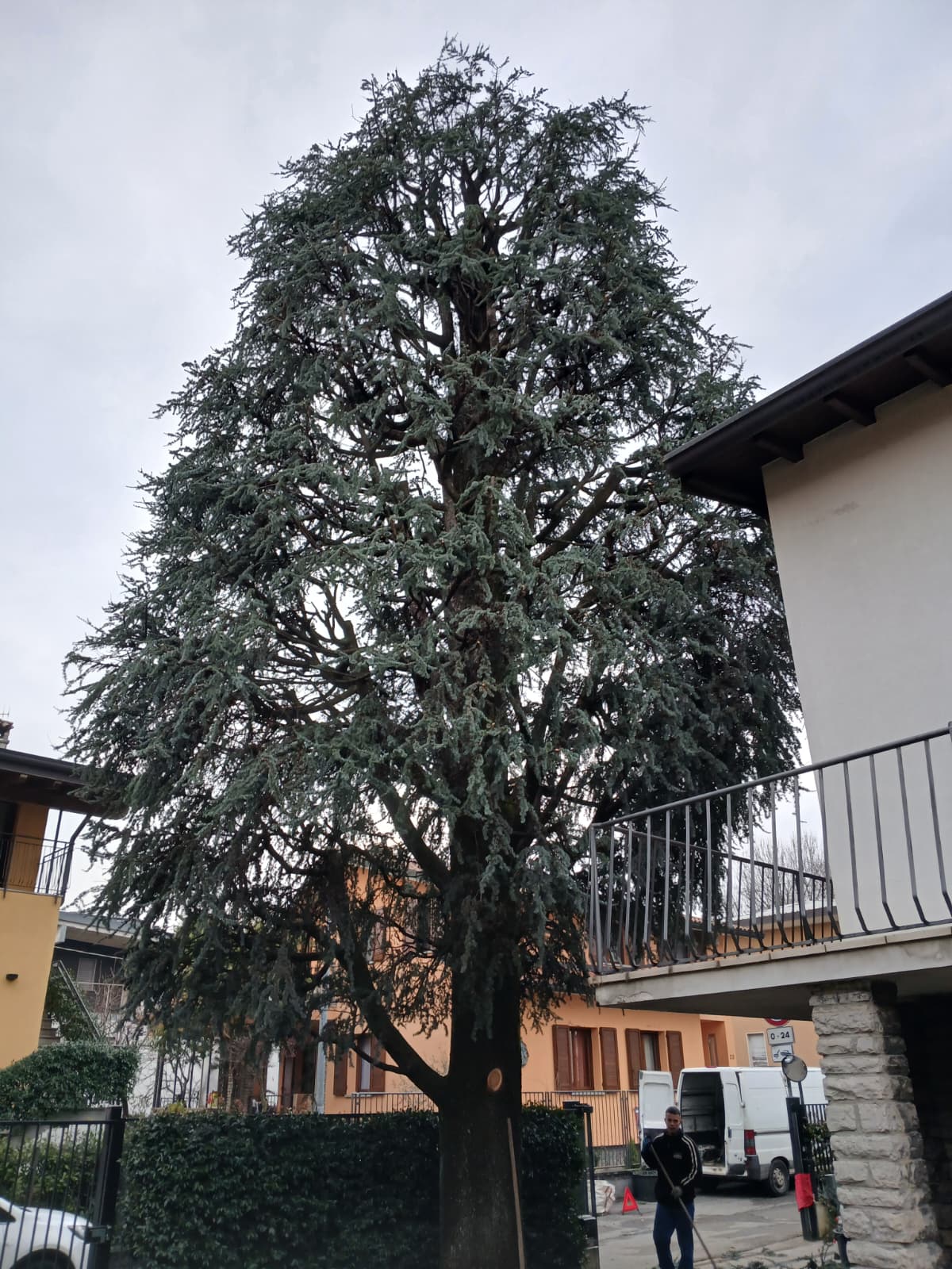 Taglio rami in quota