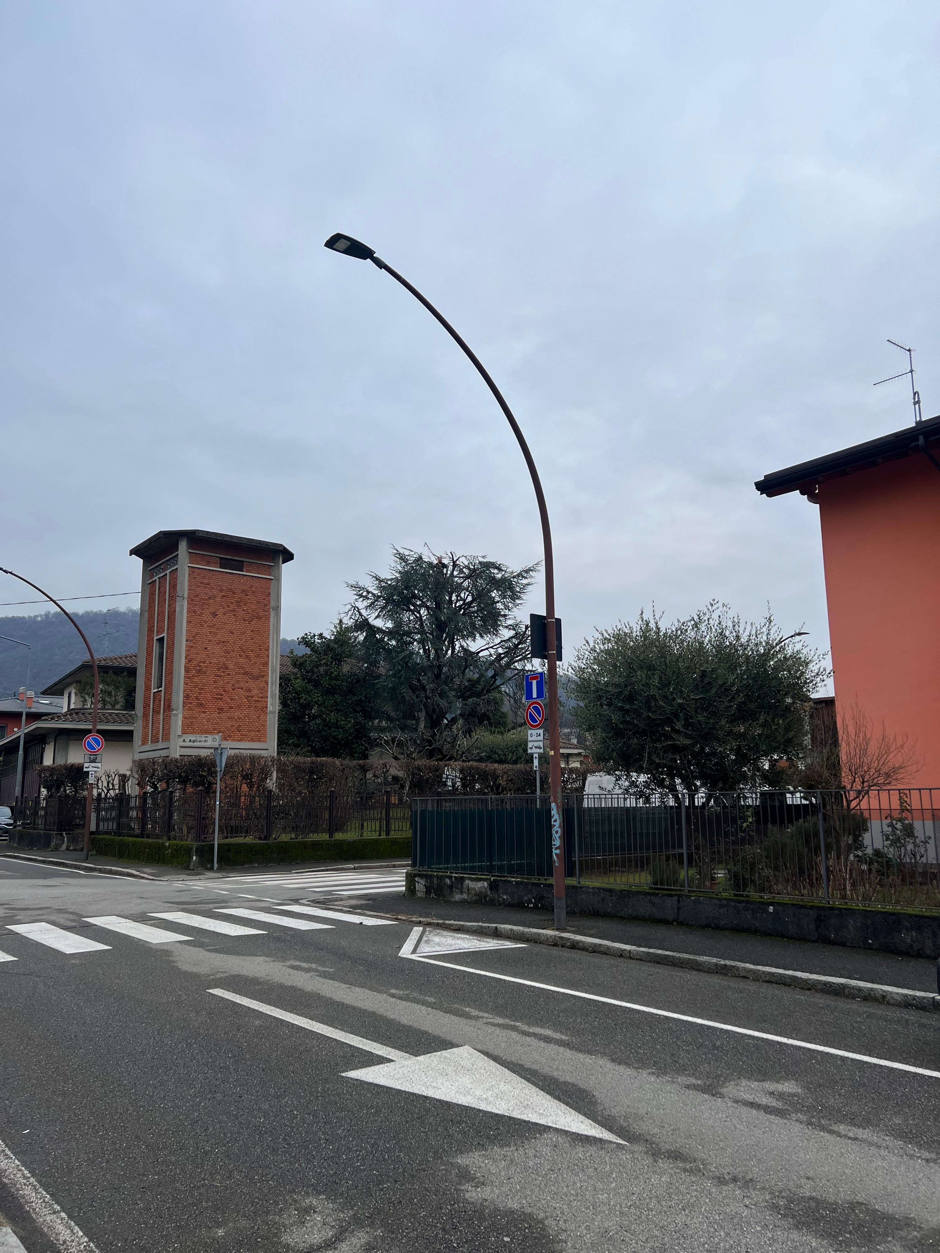 Potatura di alleggerimento