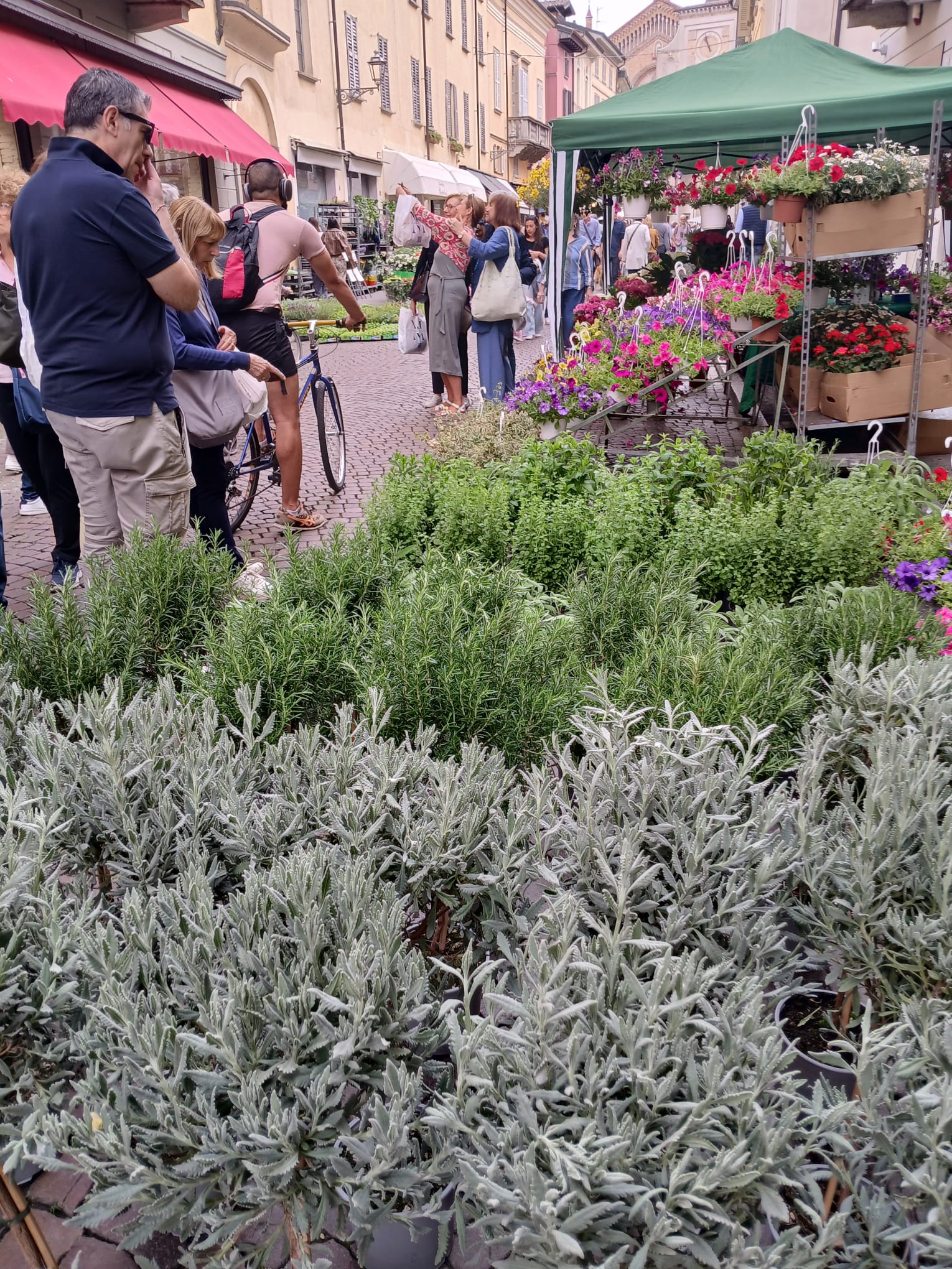 Esposizione fiera fiori