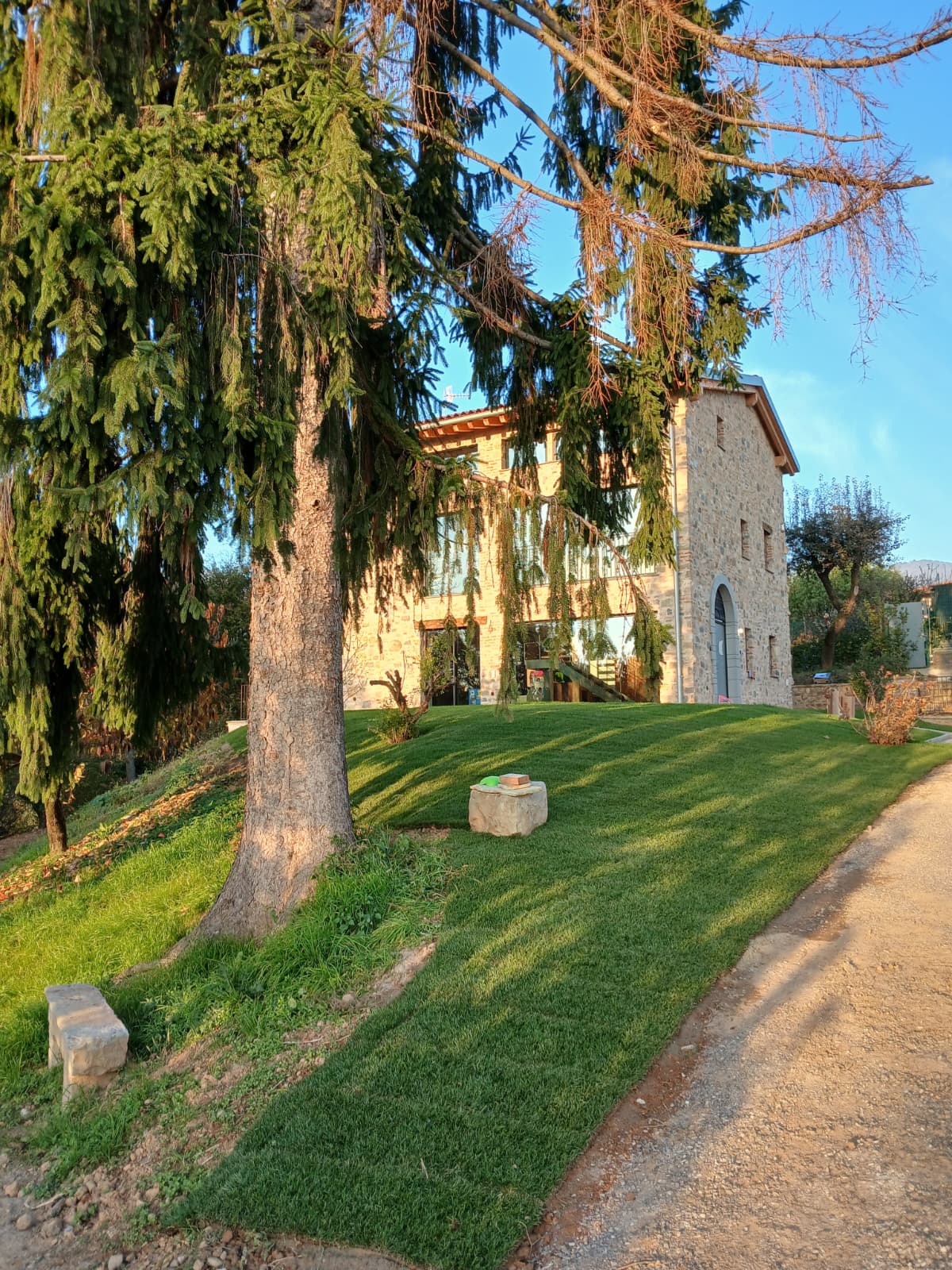 Preparazione terreno
