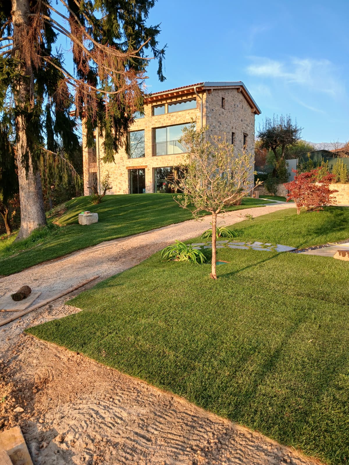 Piantumazione aiuole